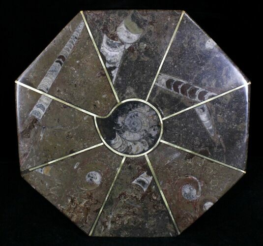 Fossil Goniatite & Orthoceras Tray/Platter #22861